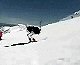 Funny Show Skiing Ostrich