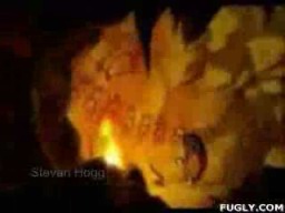 Caveman Porn