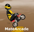 Mini Dirt Bike