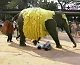 Elephant Walks Over People