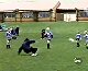 Hit With Balls Home Video