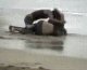 Girls Fight On The Beach