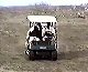 Golf Cart Crash
