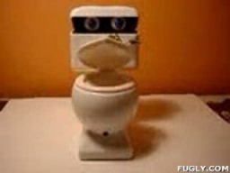 Singing Toilet