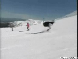 Skiing Ostrich