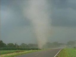 Tornado Chasers