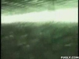 Wall Of Death